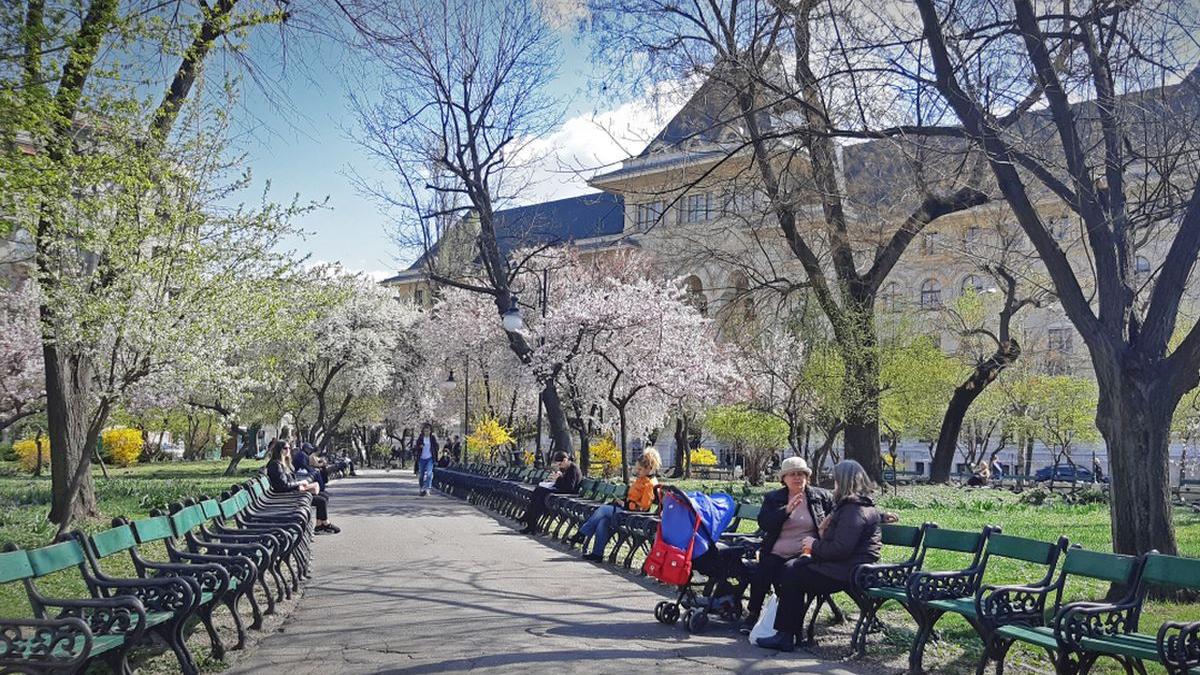 Vreme frumoasă în weekend cu temperaturi plăcute în toată țara