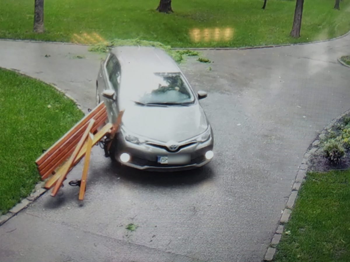 Un şofer a intrat cu maşina într-o bancă din Grădina Botanică! S-a ales cu o amendă