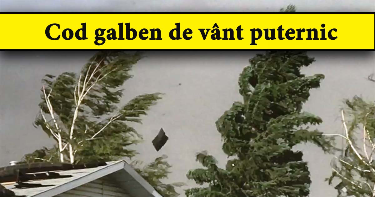 AVERTIZARE METEO: Cod galben de vânt puternic, în Iasi