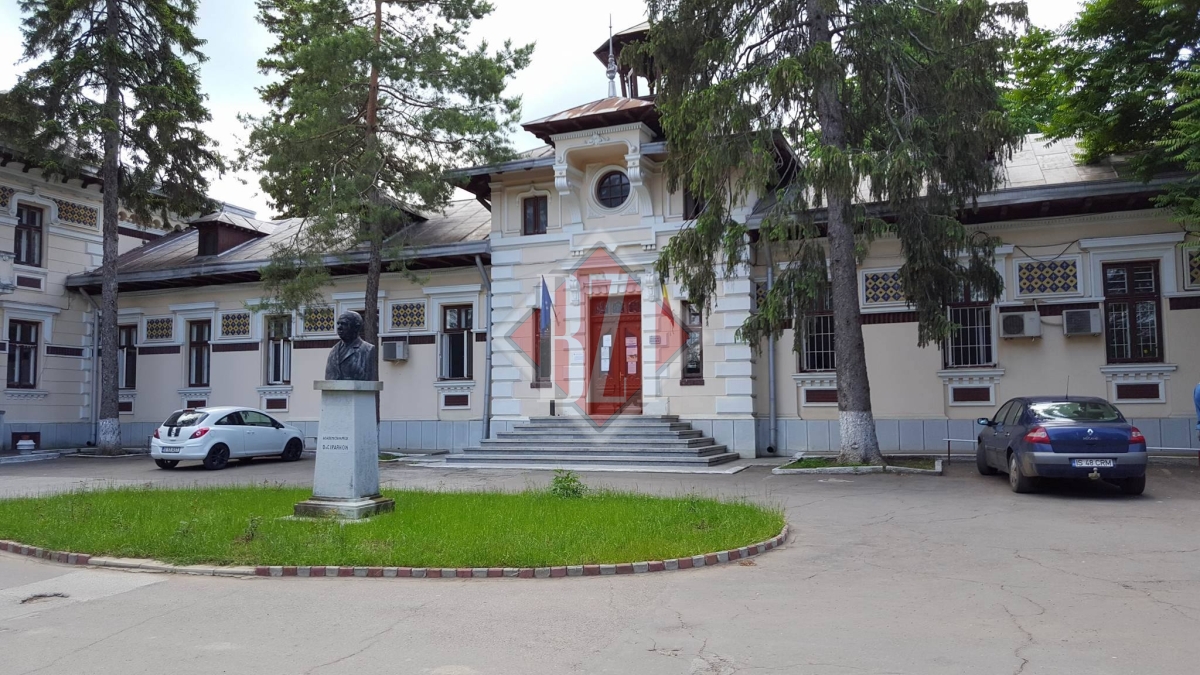 Institutul de Psihiatrie „Socola” din Iași cumpără soluții pentru exterminarea șobolanilor! Contractul are o valoare de aproape 100.000 de euro