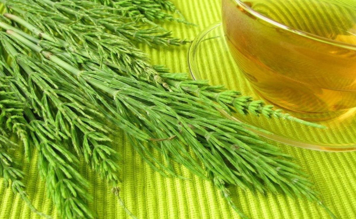 3 ceaiuri din plante care elimina acidul uric