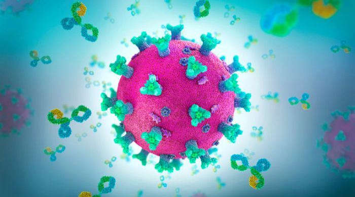 Bilanț coronavirus 15 iulie 2021: 62 cazuri noi de persoane infectate cu SARS – CoV – 2, în ultimele 24 de ore, în România