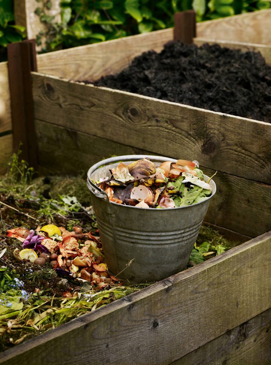 Tipuri de compost. Ce facem cu resturile vegetale?