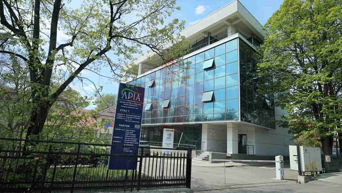 Tinerii din Iași întorși din diaspora mai pot solicita fondurile europene de la AFIR. Termenul de depunere a cererilor a fost prelungit până la data de 5 iulie 2021