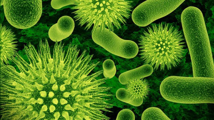 O echipă de cercetători din Israel a inventat un nas artificial capabil să detecteze bacterii