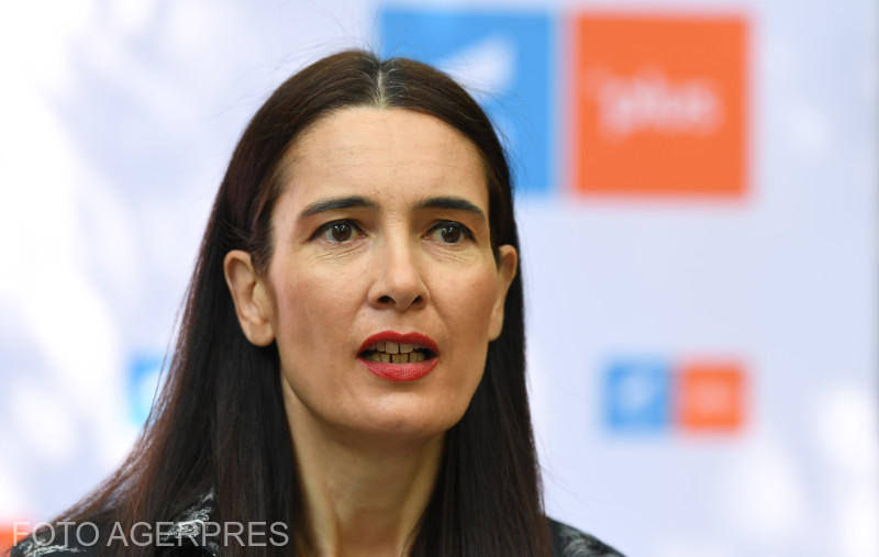 S-a facut public documentul care arată că primarul Sectorului 1, Clotilde Armand, putea rezolva problema gunoaielor încă de acum 2 luni