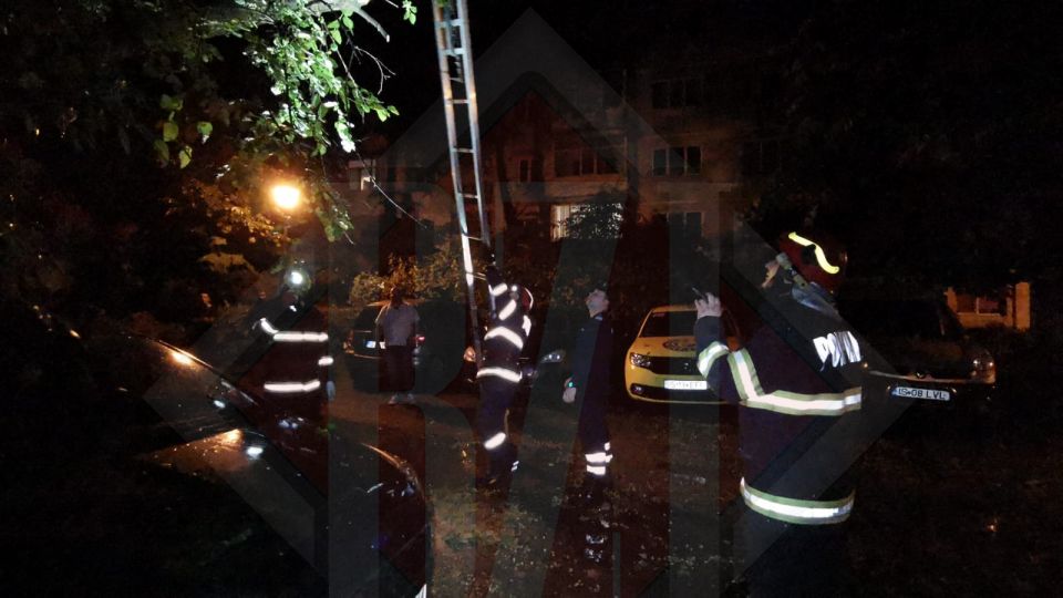 Pompierii au intervenit în cartierul ieșean Nicolina pentru a degaja un arbore care a căzut peste două autoturisme – Exclusiv, Galerie Foto