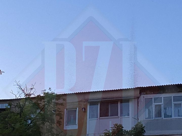 Par mini-tornade dar nu sunt! Invazie de țânțari în Iași – Exclusiv, Galerie Foto, Video
