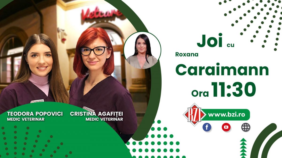 Schimbările climatice afectează sănătatea animalelor de companie. Medicii veterinari, Teodora Popovici și Cristina Agafiței, atrag atenția posesorilor de animale cu privire la măsurile pe care ar trebui să le ia