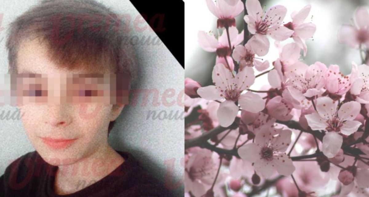Sinucidere la Vaslui. Un băiat de 14 ani s-a spânzurat de un cireş din spatele casei sale