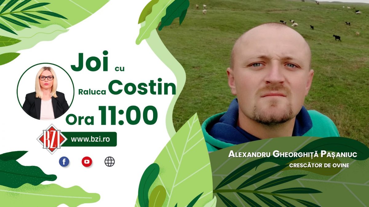 Afacerea cu ovine mai este o activitate profitabilă? Discuţie cu Gheorghiţă Alexandru Pașaniuc, crescător din Iași, numai la BZI LIVE!
