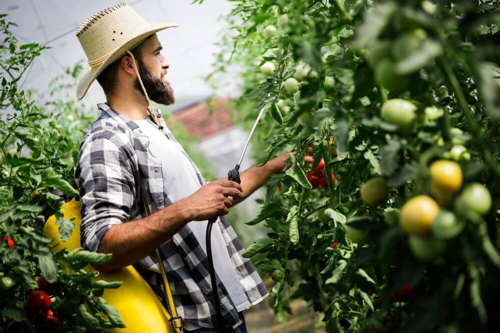 Prețurile alimentelor ar putea crește, după ce un erbicid a fost interzis
