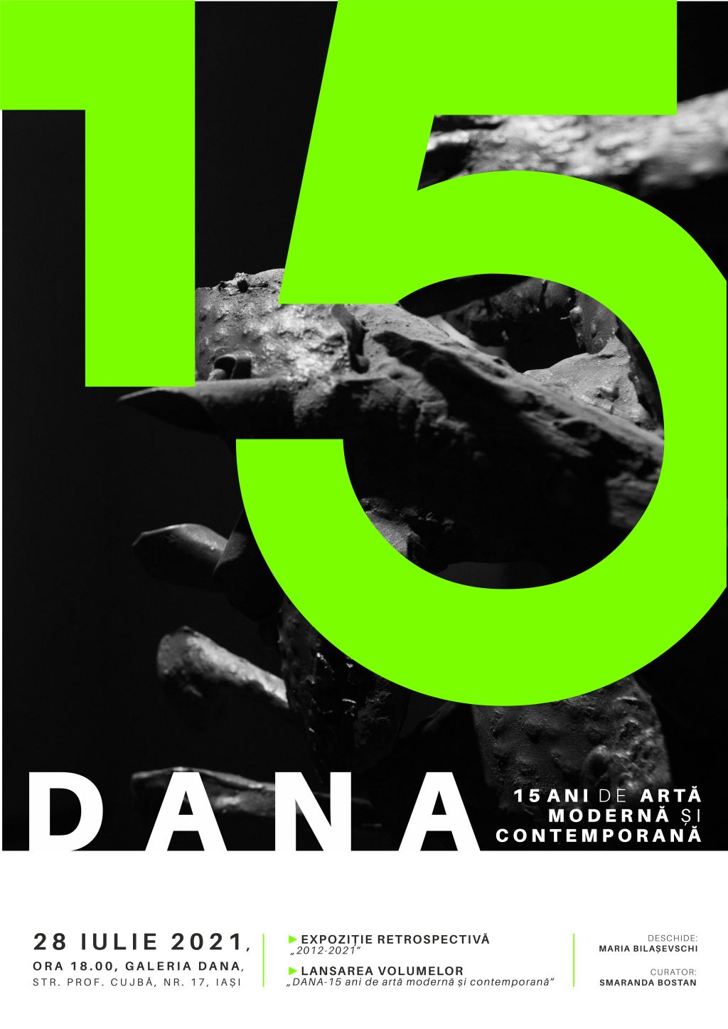 DANA, 15 ani de artă modernă și contemporană - Vimarsana News