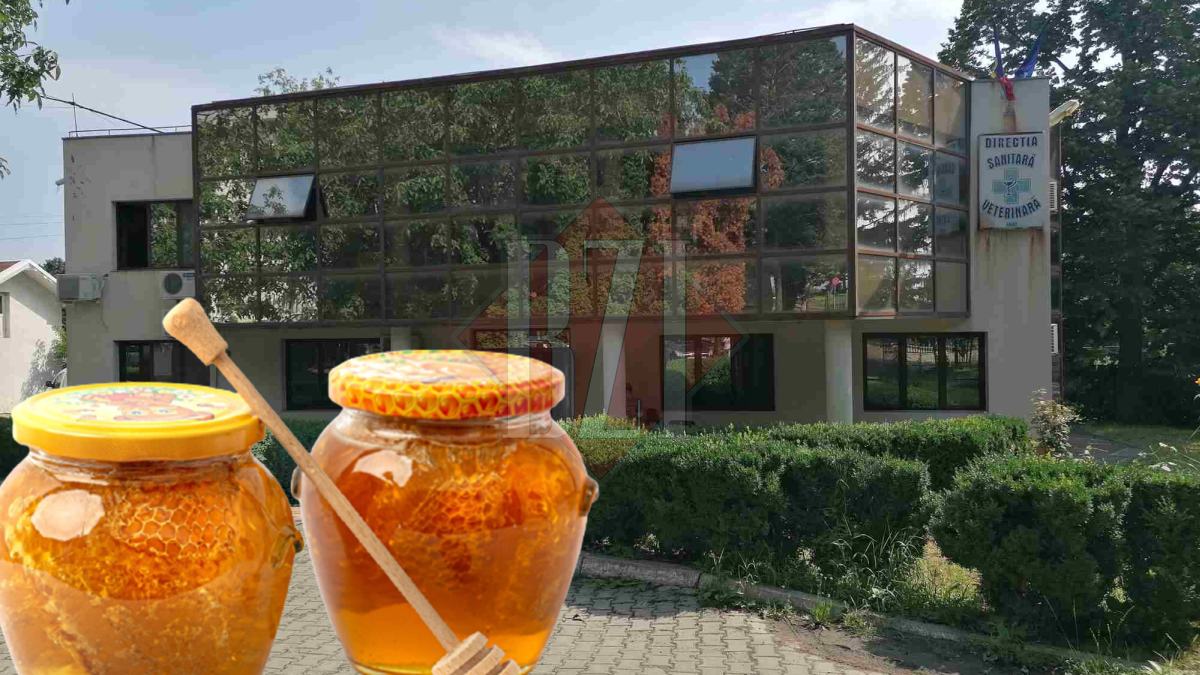 Inspectorii DSVSA verifică mierea comercializată în Iași. Specialiștii vor recolta probe pentru a combate fraudele alimentare în acest domeniu