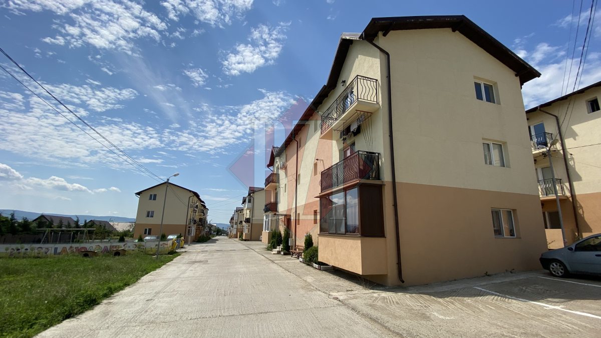 Disperare maximă pentru locuitorii din cartierul Astoria! Nu au apă potabilă în plină caniculă. Bebelușii sunt spălați abia la miezul nopții – FOTO / VIDEO