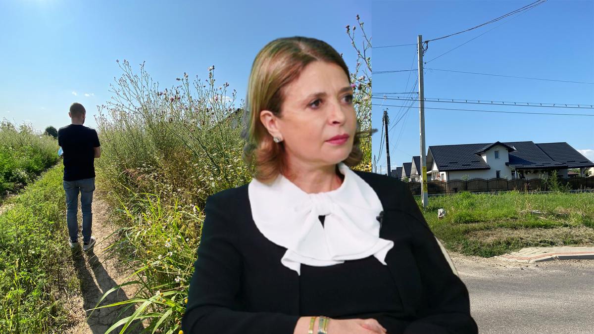 Proprietarii din cartierul Armonia Park sunt îngropați în bălării! Afacerista Doina Cepalis nu a curățat terenul de lângă complexul cu 100 de case. Explicația investitorului: „Sunt în vacanță” – FOTO