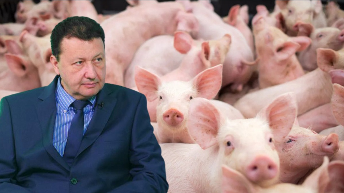 Afacere de jumătate de milion de euro, din Iași, închisă din cauza unui virus! Investitorii nu vor să renunțe la producție, chiar dacă nu au mai vândut nimic de aproape un an! „Nu știm cum s-au îmbolnăvit!”