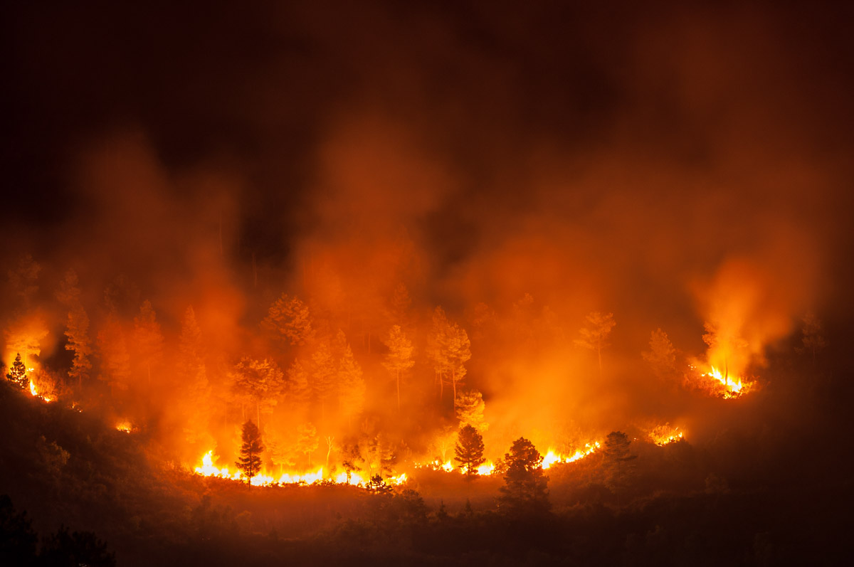 Peste 130 de incendii de vegetație au izbucnit în vestul Canadei: „În aproximativ 15 minute întregul oraș a fost cuprins de flăcări”