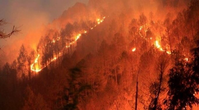 Incendiile au făcut ravagii în Cipru. Patru persoane au murit, zece localități au fost evacuate și 55 de kilometri pătrați de vegetație au ars