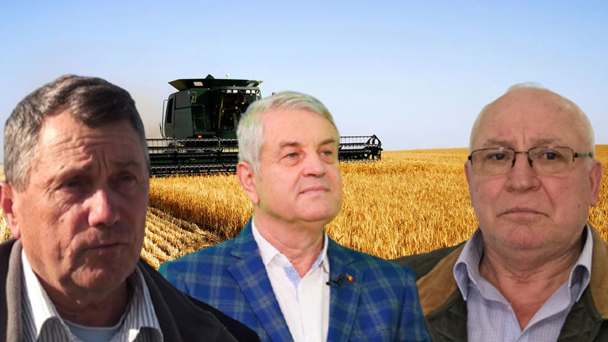 Fermierii din Iași fac milioane de euro în această vară! Producția de grâu este peste așteptări. Angajații fac mofturi și cer salarii mai mari – FOTO