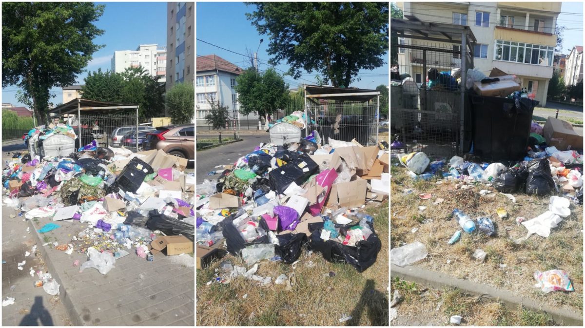 Edilii Bucureștiului, soluție pentru problema deșeurilor din Capitală: O nouă groapă de gunoi