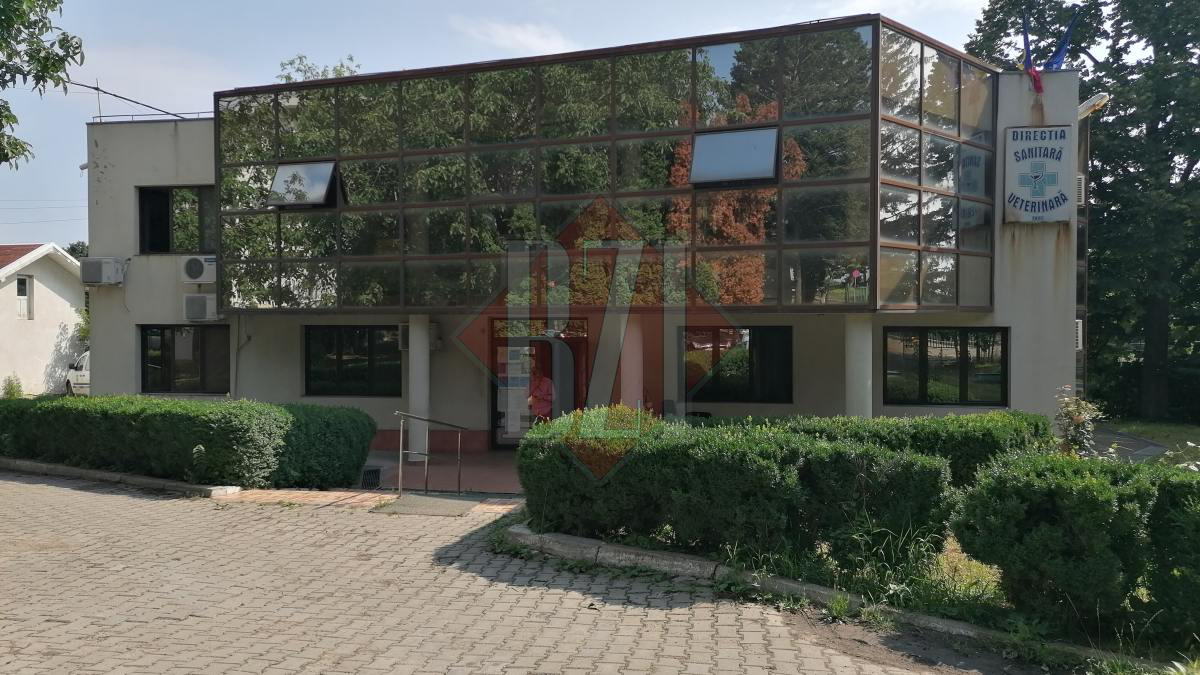 DSVSA Iași vaccinează animalele împotriva antrax! Specialiștii evaluează starea de sănătate a bovinelor, ovinelor sau caprinelor din județ