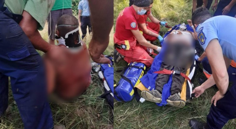 Caz șocant! Un bărbat a fost atacat de o ursoaică, în Harghita