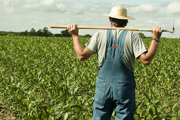 Asociaţia „Grânarii – Dă-te pe brazdă” Iaşi se implică în Parlamentul European cu privire la Strategia „Farm to Fork”