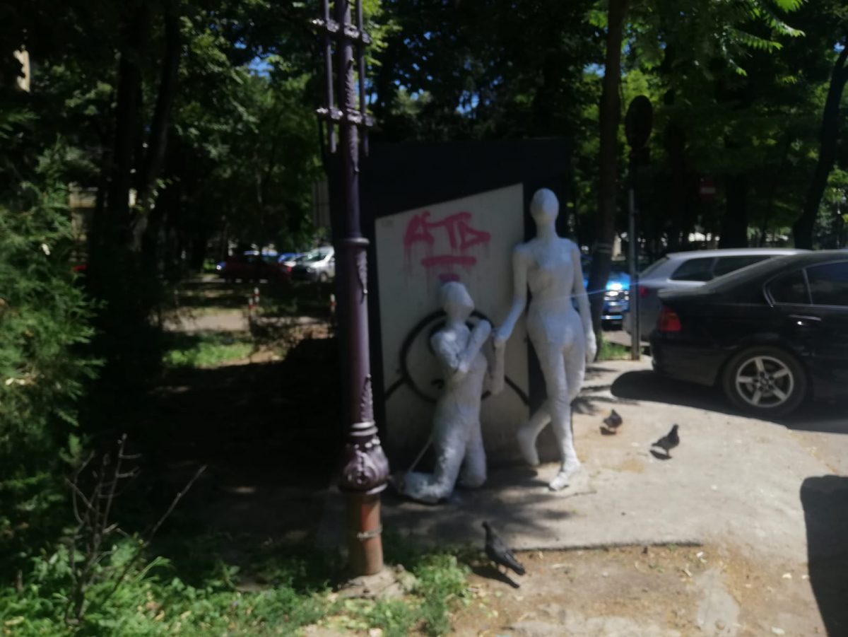 Apariție de senzație într-un parc din plin centrul Iașului! – GALERIE FOTO