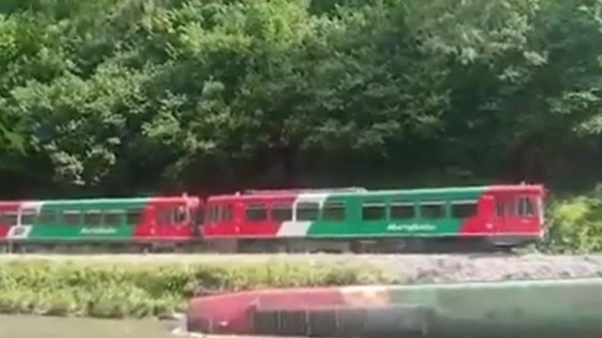 Un tren cu 56 de călători a deraiat şi a căzut într-un râu din Austria. 17 persoane au fost rănite – FOTO, VIDEO