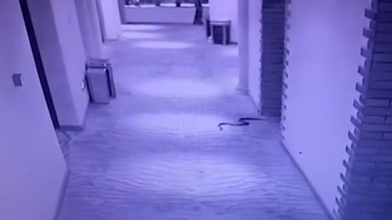 O femeie a fost violată într-un hotel din Cluj! Violatorul nu era cazat dar a văzut ușa deschisă la cameră şi a intrat