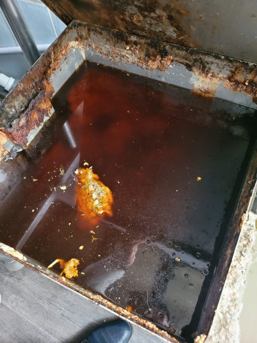 Inspectorii ANPC au descoperit alimente expirate de șapte ani la un hotel din Delta Dunării
