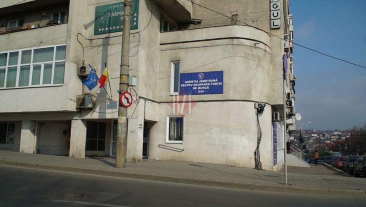 A crescut numărul de locuri de muncă vacante din Iași în ultima săptămână. Patronii caută vânzătoare, femei de serviciu, dulgheri, zidari sau muncitori necalificați