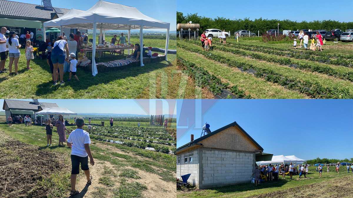 O întâmplare inedită! Un tânăr din Iași a reușit duminică să-și umple curtea de străini curioși: „Unii au venit cu aparate care testează pesticidele, chimicalele”