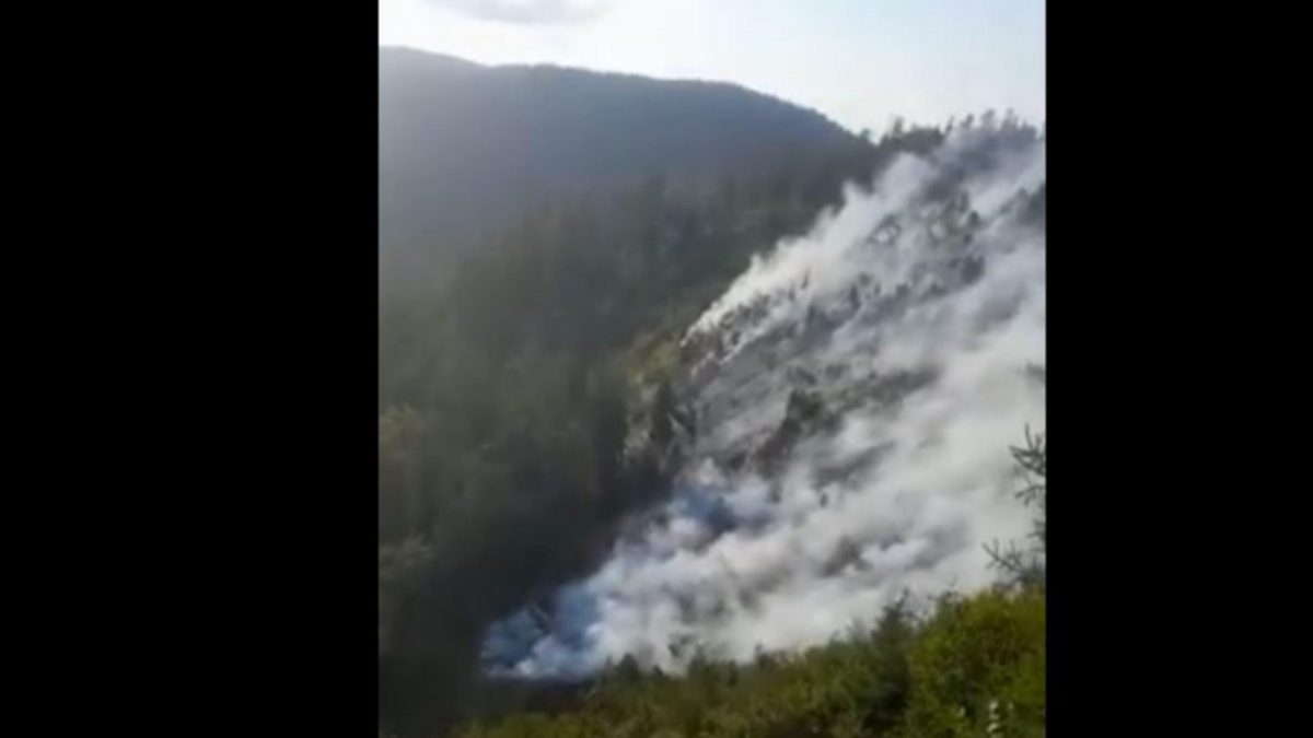 Incendiu violent în Munţii Căpăţânii, în judeţul Vâlcea. Flăcările s-au extins pe patru hectare