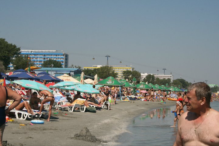 Un copil de 3 ani a fost mușcat de față de un câine în timp ce se afla în mare, în Mamaia
