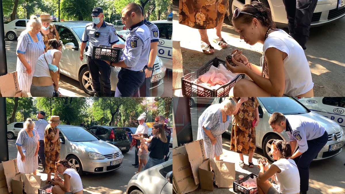 Imagini cu un puternic impact emoțional! Un „criminal” a pus la gunoi, în Piața Unirii din Iași, într-un recipient cu prune stricate, patru pui de pisică abia născuți. Unul dintre suflete s-a asfixiat, iar celelalte au fost salvate în ultima clipă de un trecător