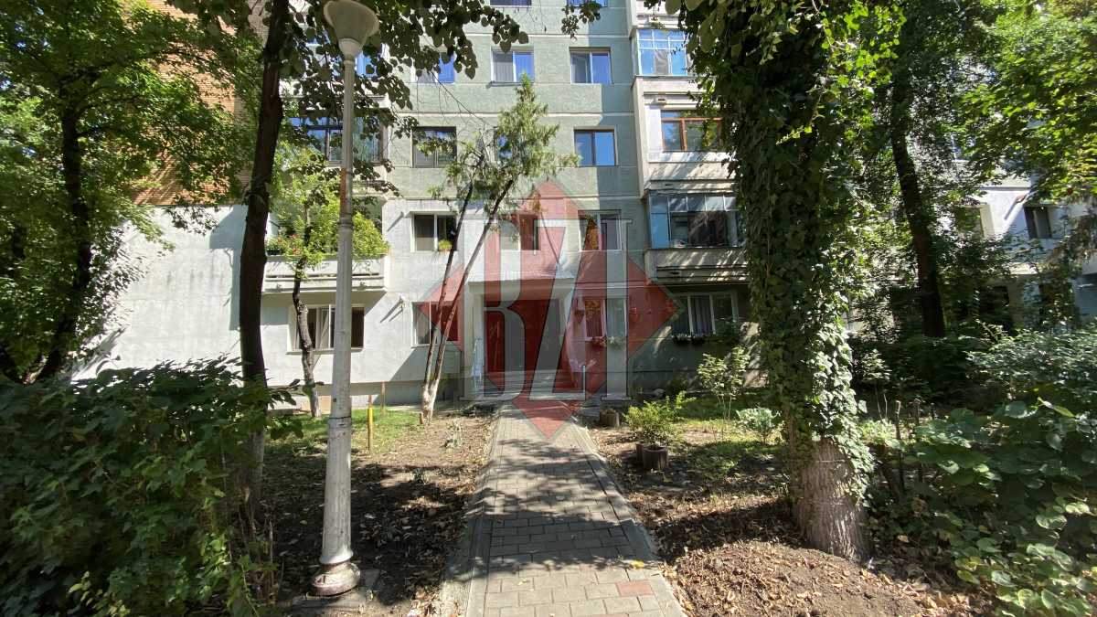Scandal la scara unui bloc din municipiul Iași! Un gard viu a băgat zâzanie între fostul și actualul președinte de asociație. „A distrus o muncă de un deceniu!” – GALERIE FOTO