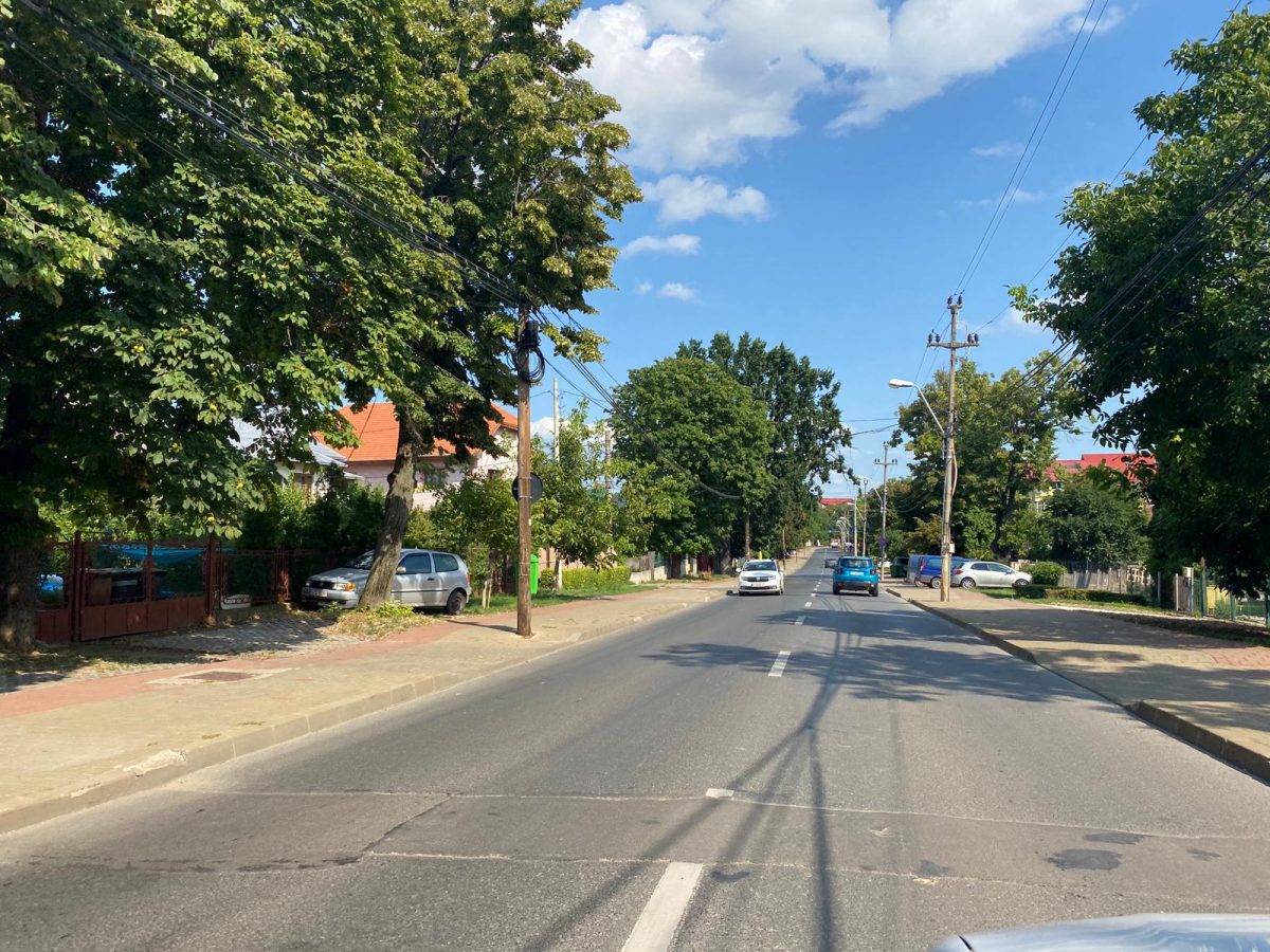 Misiune de salvare a unei pisici, pe Aleea Mihail Sadoveanu