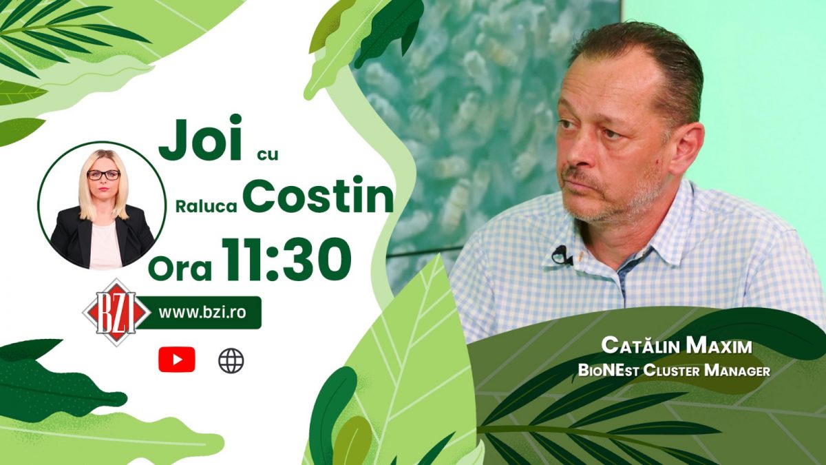 Cătălin Maxim, BioNEst Cluster Manager, prezent în studiul BZI LIVE! Discuție despre situația apiculturii din acest an și dacă vor creşte preţurile la miere!