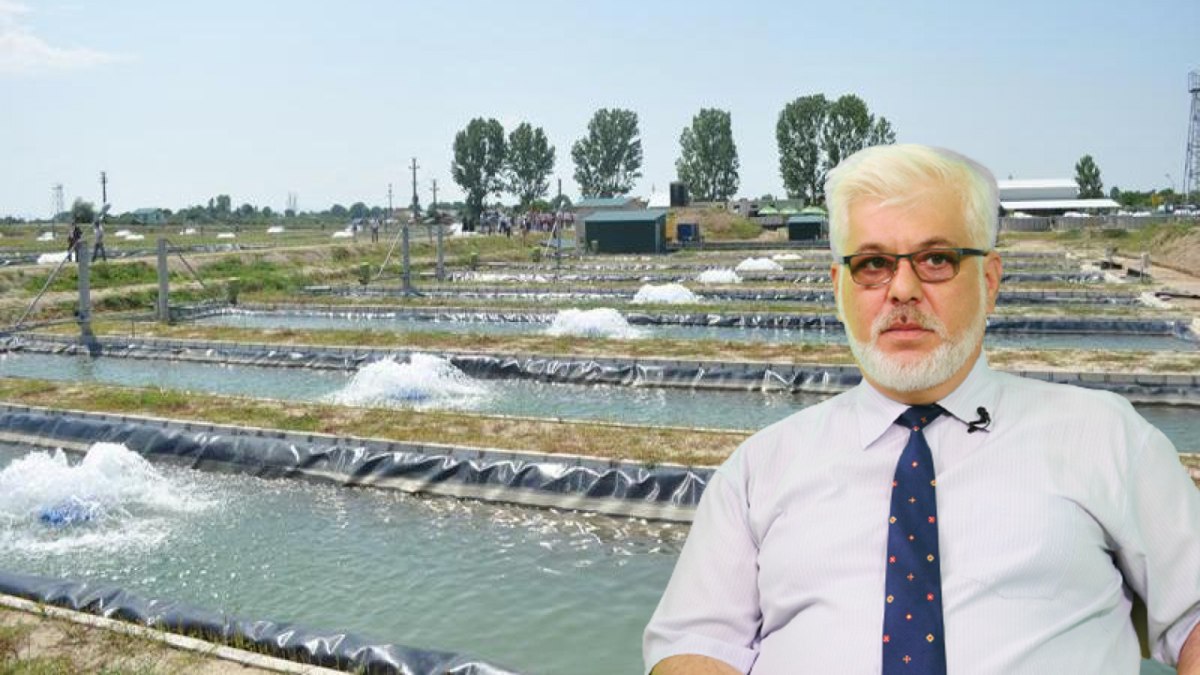 Dispar de pe rafturi cele mai consumate produse! Oamenii de afaceri care au investit milioane de euro vor să închidă totul și să-și încerce norocul cu altceva. „Nu vreau să ies din casă în patru scânduri”