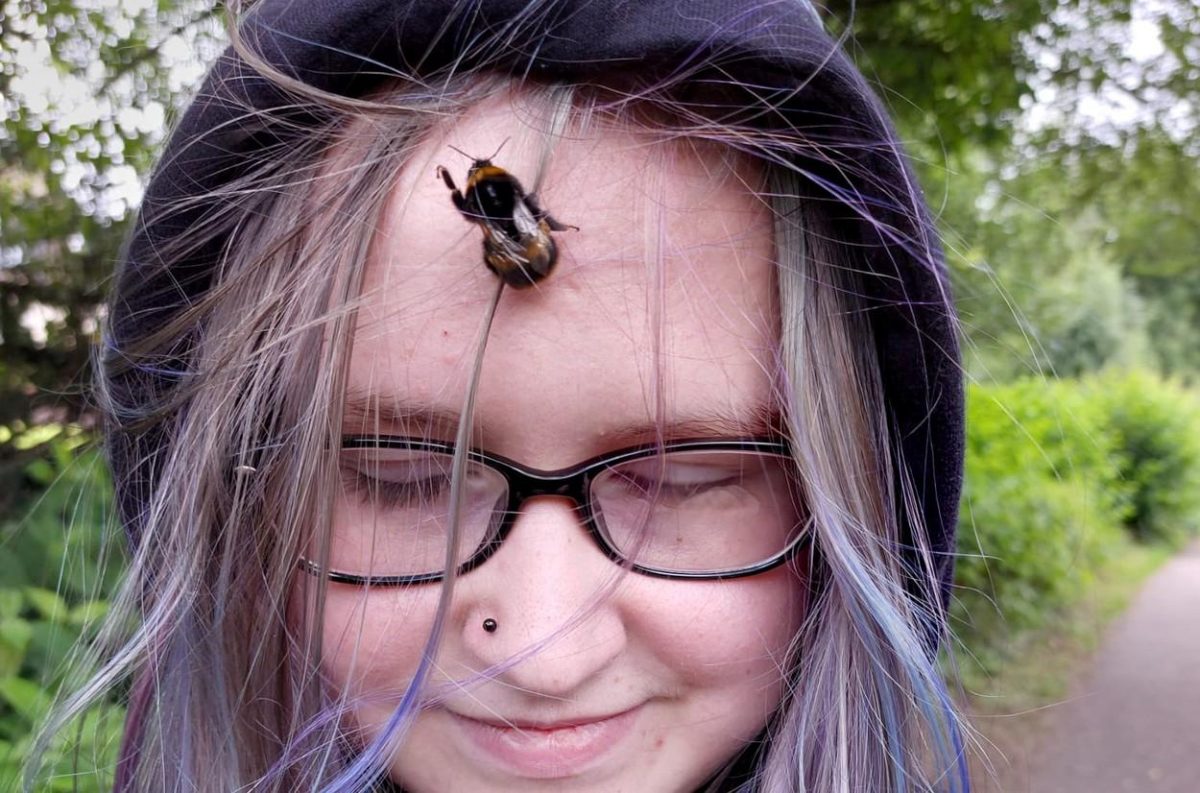 Un bondar, „animalul” de companie al unei fetiţe de 13 ani. După ce l-a salvat, insecta refuză să plece – FOTO