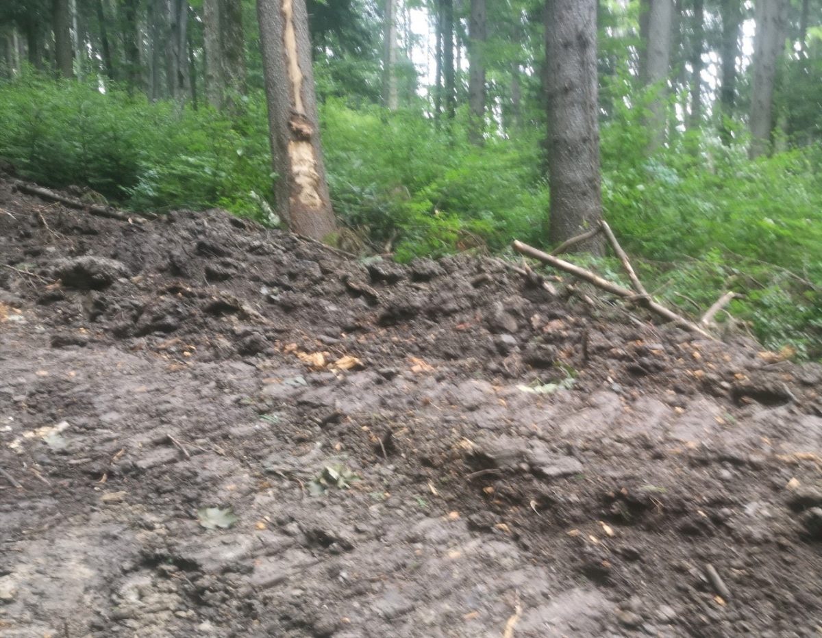 Camion plin cu lemn, fără aviz de însoțire, confiscat de polițiștii din județul Suceava – FOTO