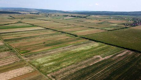 A fost încheiată etapa culegerii datelor statistice despre exploatațiile agricole din județul Iași