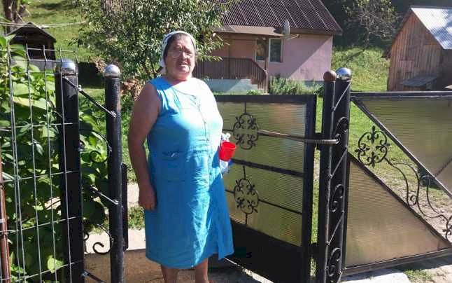 Femeia care a folosit din greşeală pietre semipreţioase pentru gardul casei. Ce valoare au – FOTO
