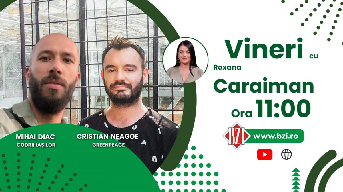 Iașul ar putea scăpa de poluare prin înființarea Parcului Natural Codrii Iașilor! Cristian Neagoe, PR Greenpeace și Mihai Diac, reprezentant Codrii Iașilor vorbesc la BZI LIVE despre protejarea pădurii Bârnova-Dobrovăț