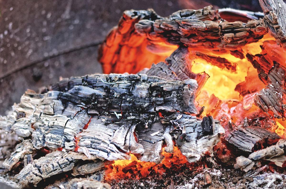 Tratamente cu cenuşă. La ce bine să o foloseşti în curte și grădină