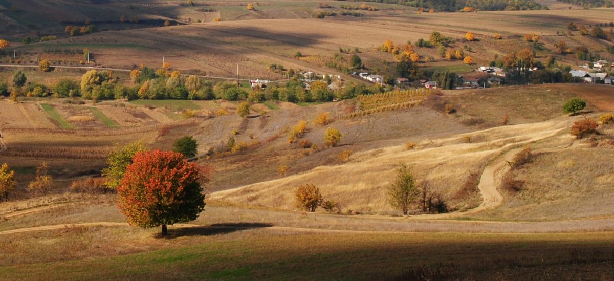 Simpozionul „Factori şi procese pedogenetice din zona temporata”, ediţia a XXX-a, va avea loc la Iaşi în perioada 16-19 septembrie