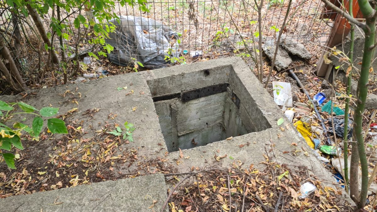 O vacă a căzut într-un canal. Pompierii ISU Iaşi intervin pentru a salva animalul – UPDATE