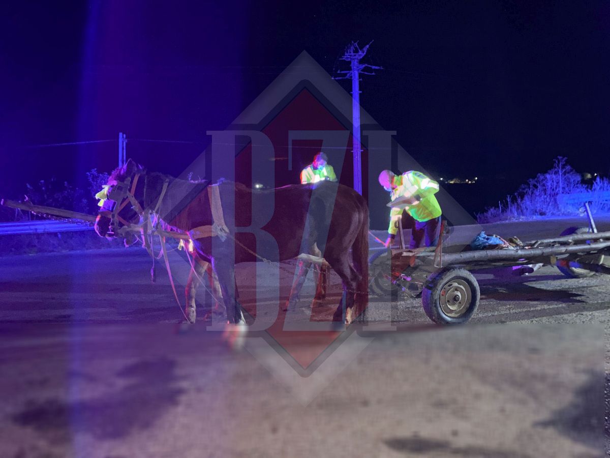 Accident mortal în localitatea ieșeană Grajduri – Exclusiv, Galerie Foto, Live Video